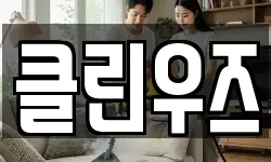 클린우즈