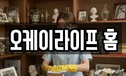 오케이라이프 홈