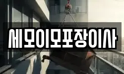 세모이모포장이사