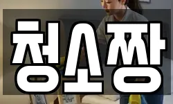청소짱