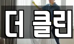 더 클린
