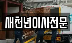 새천년이사전문