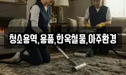 경상북도 경주시 노동동 청소,입주청소,사무실청소,에어컨청소