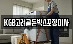 경상북도 경주시 노동동 이사,용달이사,포장이사,원룸이사,보관이사