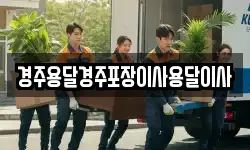 경주용달경주포장이사용달이사
