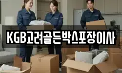 KGB고려골든박스포장이사