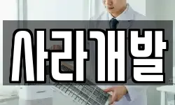 사라개발