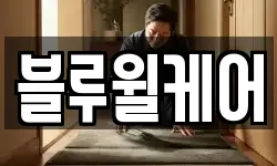 블루윌케어