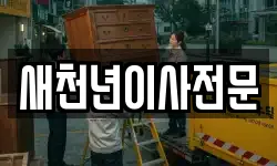 새천년이사전문
