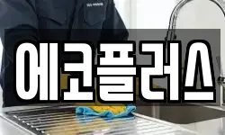 에코플러스