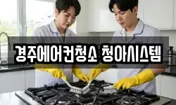 경상북도 경주시 북군동 청소,입주청소,사무실청소,에어컨청소