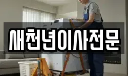 새천년이사전문