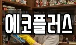 에코플러스