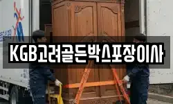 KGB고려골든박스포장이사