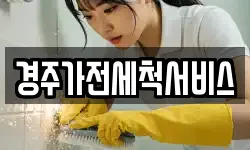 경주가전세척서비스