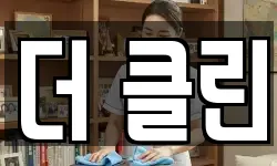 더 클린