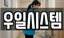 우일시스템