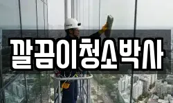 경상북도 경주시 서악동 청소,입주청소,사무실청소,에어컨청소