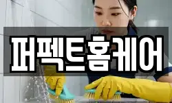 퍼펙트홈케어