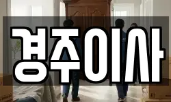 경주이사
