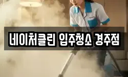 네이처클린 입주청소 경주점