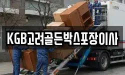 KGB고려골든박스포장이사