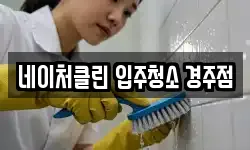 네이처클린 입주청소 경주점