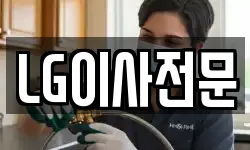 LG이사전문