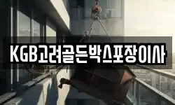 KGB고려골든박스포장이사