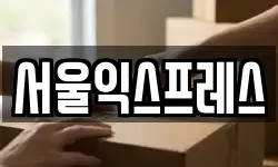 서울익스프레스