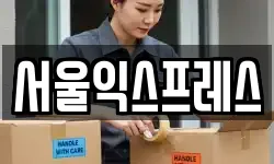 서울익스프레스