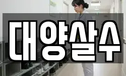 대양살수