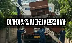 이사이삿짐사다리차포장이사