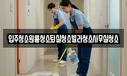 입주청소원룸청소퇴실청소빌라청소사무실청소