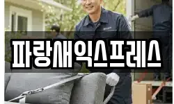 파랑새익스프레스