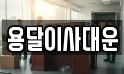 용달이사대운