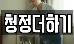 청정더하기
