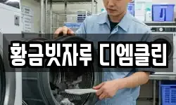 황금빗자루 디엠클린