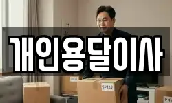 개인용달이사