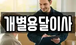 개별용달이사