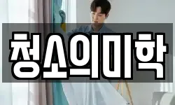 청소의미학