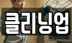 클리닝업
