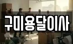 구미용달이사