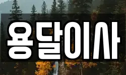 용달이사