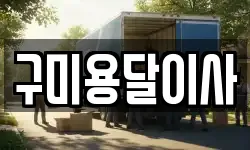구미용달이사