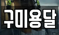 구미용달