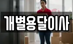 개별용달이사