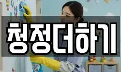 청정더하기