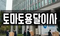 토마토용달이사