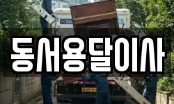 동서용달이사
